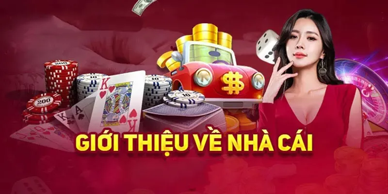 Các sản phẩm cá cược hấp dẫn tại nhà cái 82VN